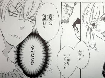 FateZero コミックアンソロジー Root-tiara (14)