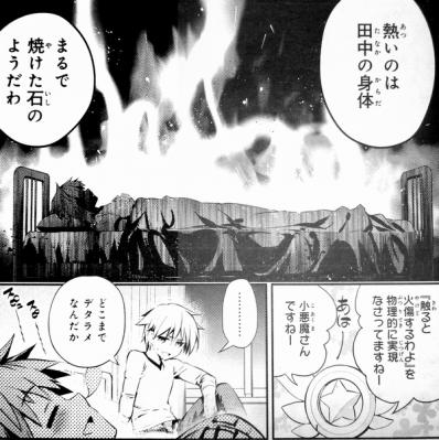Fate／kaleid liner プリズマ☆イリヤ ドライ!!　第12話　感想 (5)
